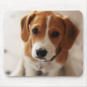 Beagle Puppy 2 Mouse Mat