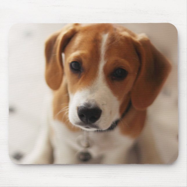 Beagle Puppy 2 Mouse Mat (Front)