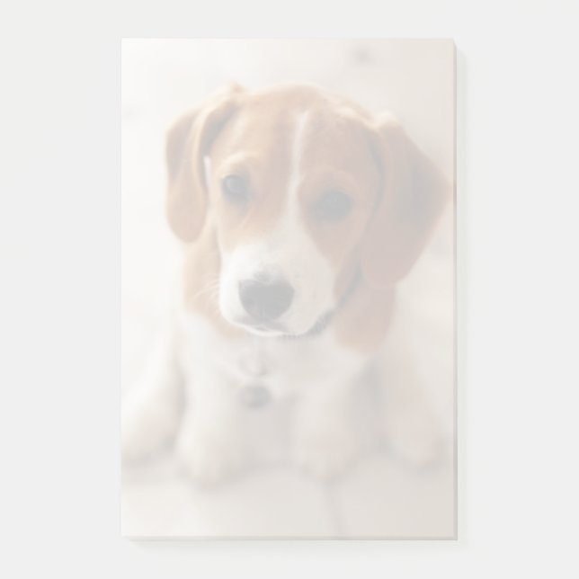 Beagle Puppy 2 Post-it Notes (Front)
