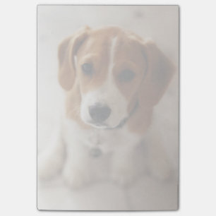 Beagle Puppy 2 Post-it Notes