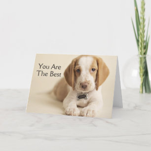 Beagle Puppy Card
