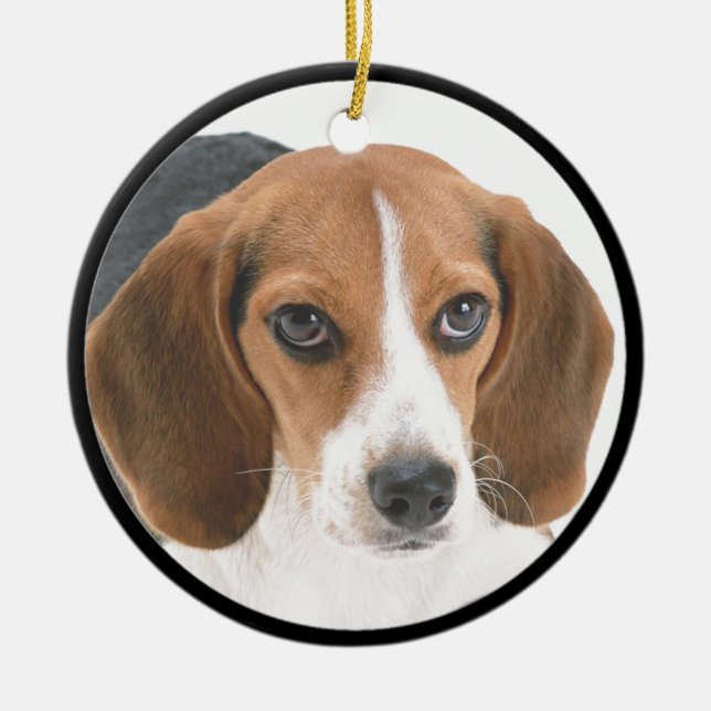 Beagle Puppy Ceramic Tree Decoration (Front)