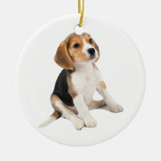 Beagle Puppy Ceramic Tree Decoration