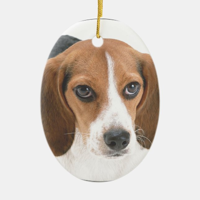 "Beagle Puppy" Ceramic Tree Decoration (Front)