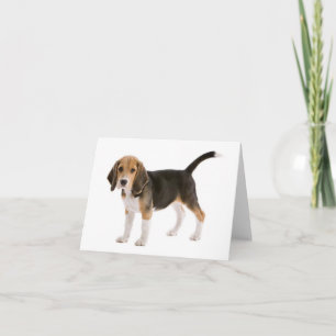 Beagle Puppy Dog Blank Note Card