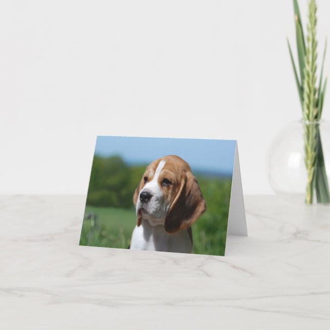 Beagle Puppy Dog Blank Note Card (Front)