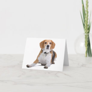 Beagle Puppy Dog Blank Note Card