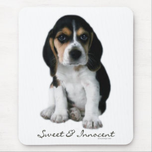 Beagle Puppy Dog Mouse Mat