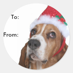 Beagle Puppy Gift Tags