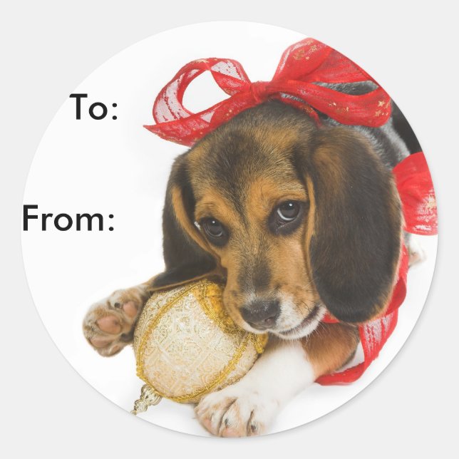 Beagle Puppy Gift Tags (Front)