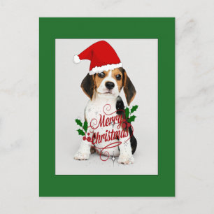 Beagle Puppy in Santa Hat - Merry Christmas Postcard