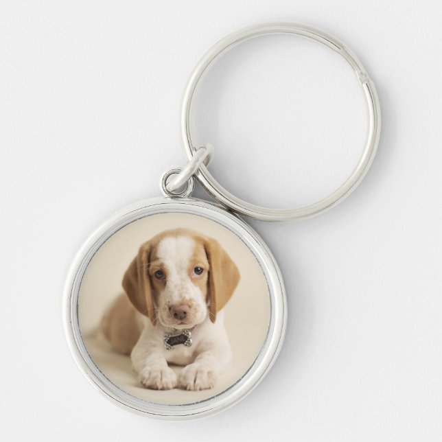 Beagle Puppy Key Ring (Front)