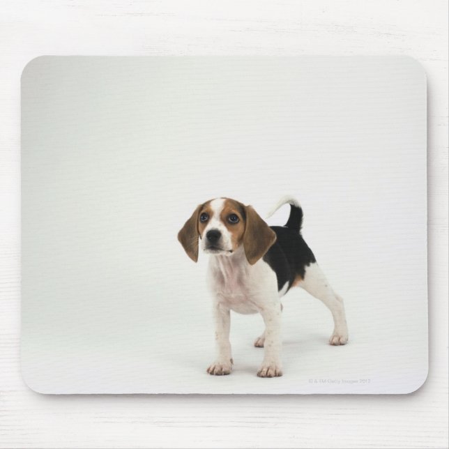Beagle puppy mouse mat (Front)