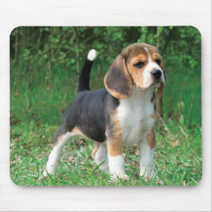 Beagle Puppy Mouse Mat