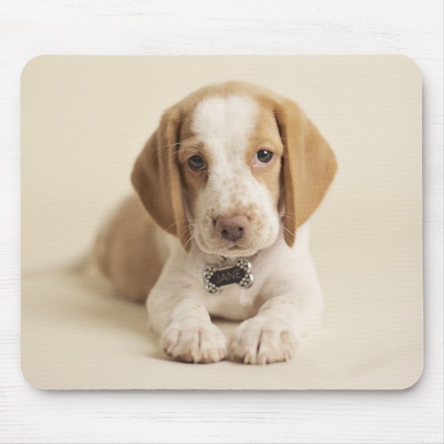 Beagle Puppy Mouse Mat (Front)