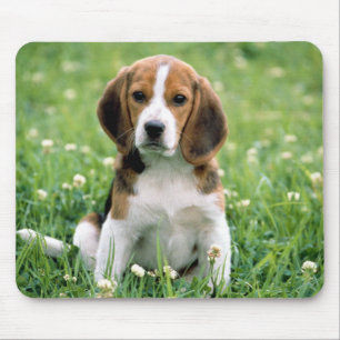 Beagle Puppy Mouse Mat
