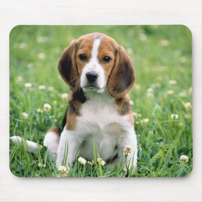 Beagle Puppy Mouse Mat (Front)