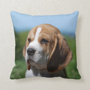 Beagle Puppy  Pillow