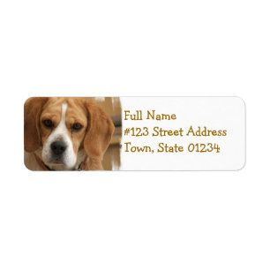 Beagle Return Address Label
