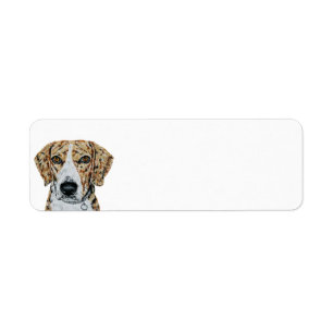 Beagle Return Address Labels