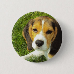 Beagle Round Button