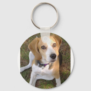 Beagle sitting 2 key ring
