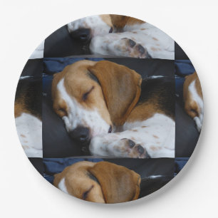 beagle sleeping.png paper plate