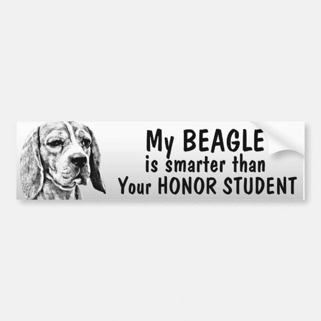 Beagle - Smarter than honour student - funny Bumper Sticker (Front)