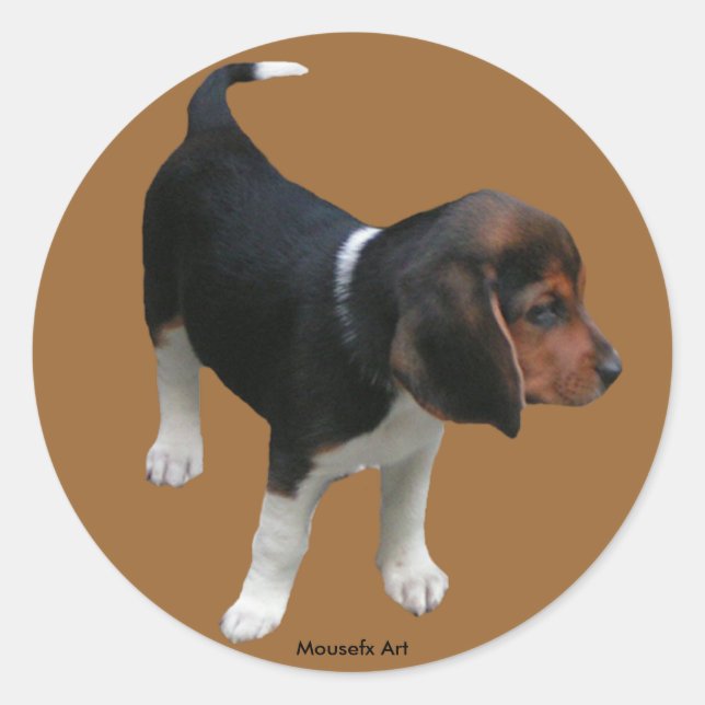 Beagle Sticker (Front)