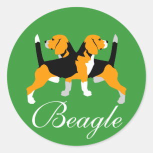 Beagle sticker