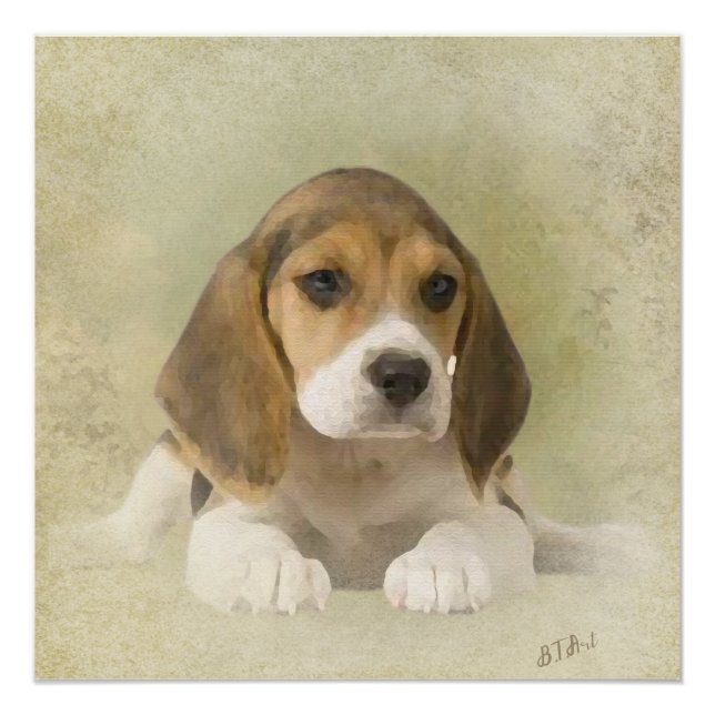 Beagle Tapestry Faux Canvas Print Acrylic Print (Front)