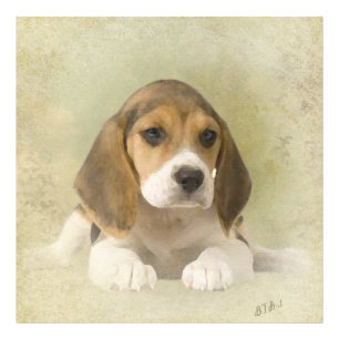 Beagle Tapestry Faux Canvas Print Acrylic Print
