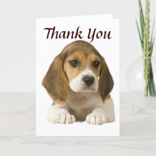 Beagle Thank You Card
