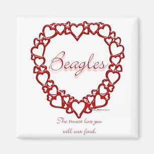 Beagle True Love Magnet