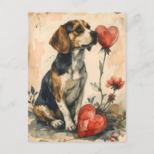 Beagle Vintage Valentine's Day  Postcard