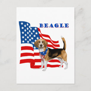 Beagle with American Flag Postcard