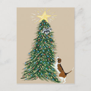 Beagle With Treed Racoon Postcard