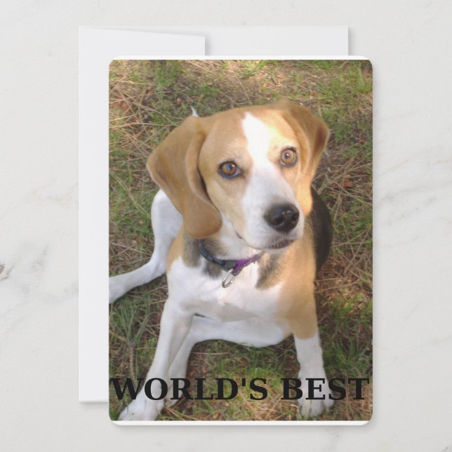 beagle worlds best (Front)