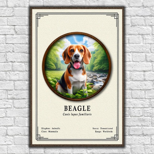 Beagle Zoology Series Poster (Creator Uploaded)