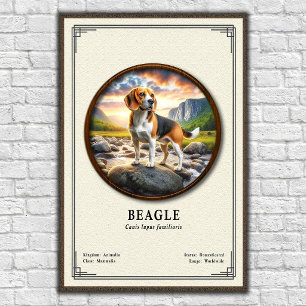 Beagle Zoology Series Poster