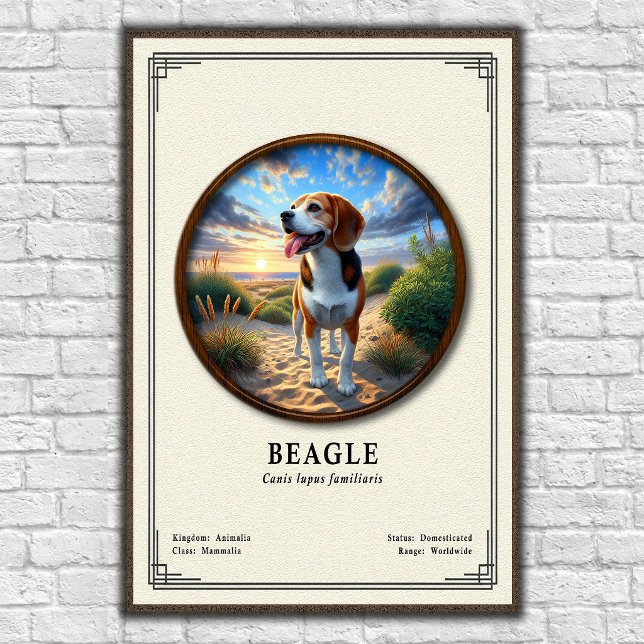 Beagle Zoology Series Poster (Creator Uploaded)