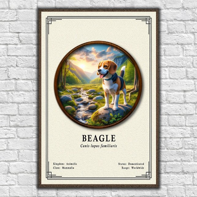 Beagle Zoology Series Poster (Creator Uploaded)