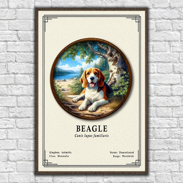 Beagle Zoology Series Poster (Creator Uploaded)