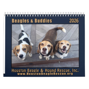 Beagles and Buddies Calendar