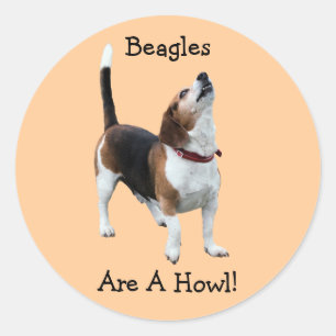 Beagles Are A Howl Funny Dog Sticker