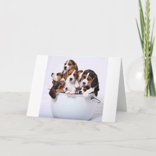 Beagles in Bucket Card (Front)