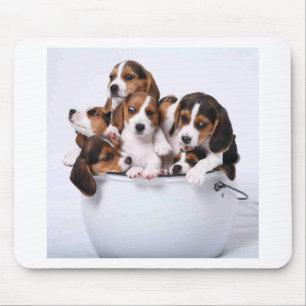 Beagles in Bucket Mouse Mat