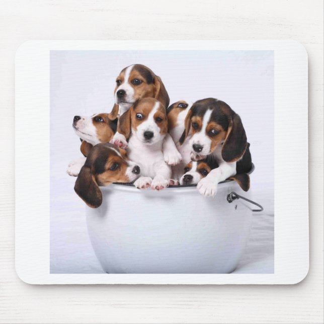 Beagles in Bucket Mouse Mat (Front)
