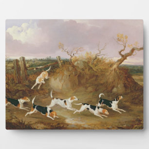 Beagles in Full Cry, 1845 (oil on canvas) Plaque