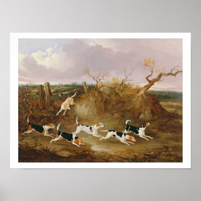 Beagles in Full Cry, 1845 (oil on canvas) Poster (Front)